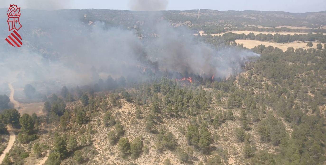 Fotos: Incendio forestal en Venta del Moro