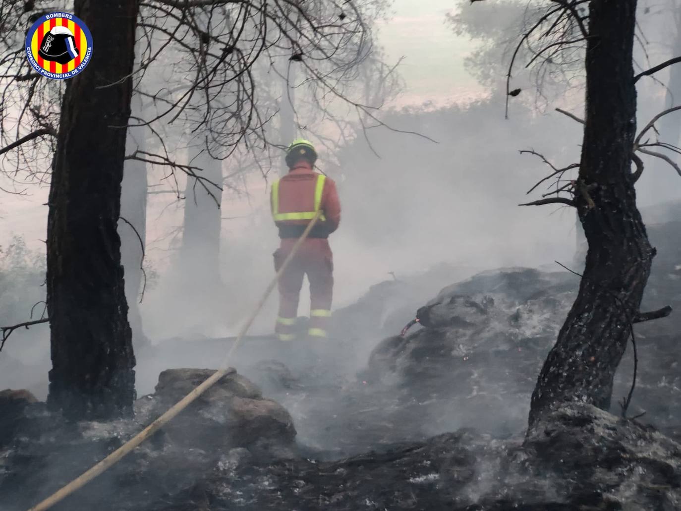 Fotos: Incendio forestal en Venta del Moro