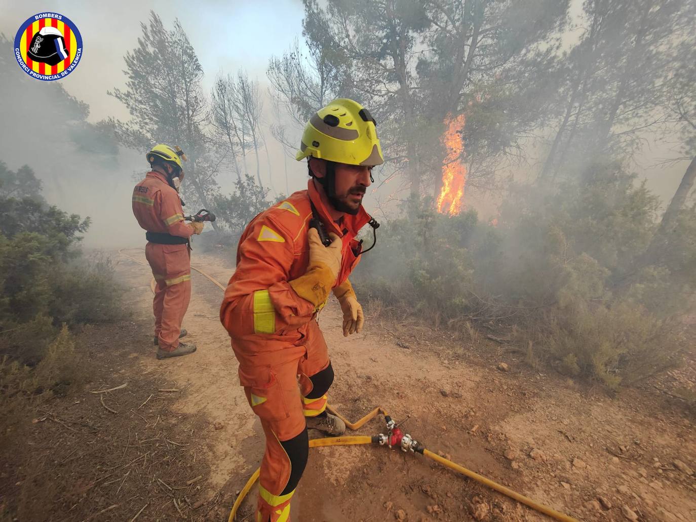 Fotos: Los bomberos luchan contra el fuego en el incendio de Venta del Moro