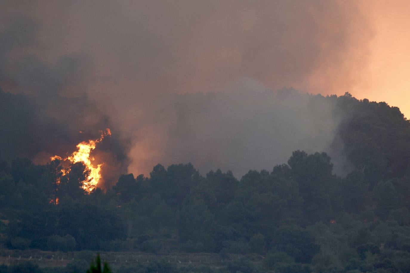 Fotos: Los bomberos luchan contra el fuego en el incendio de Venta del Moro