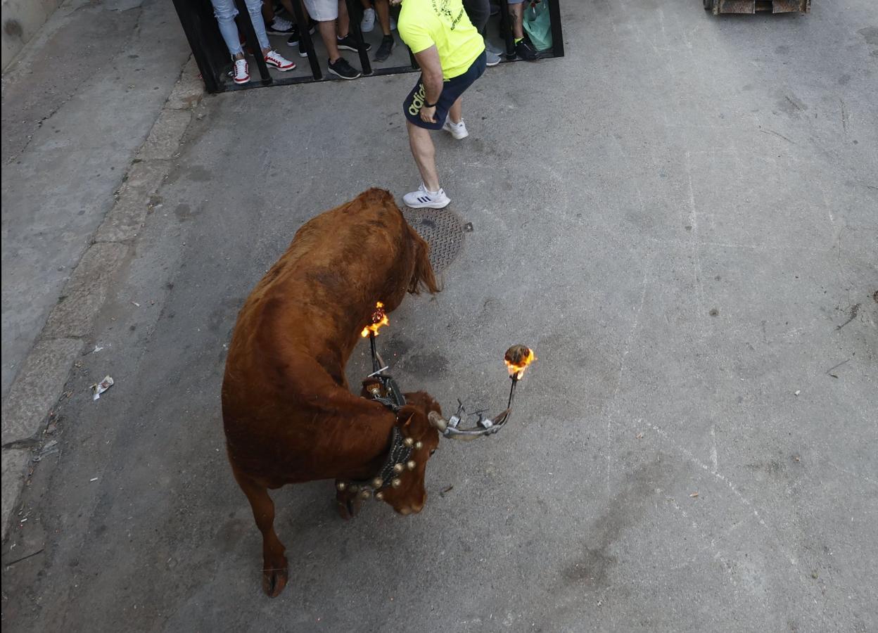 Un festejo de bous al carrer. 