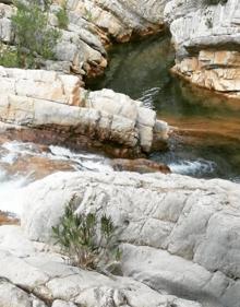 Imagen secundaria 2 - Esta charca de agua natural es una de las más conocidas en la zona. 