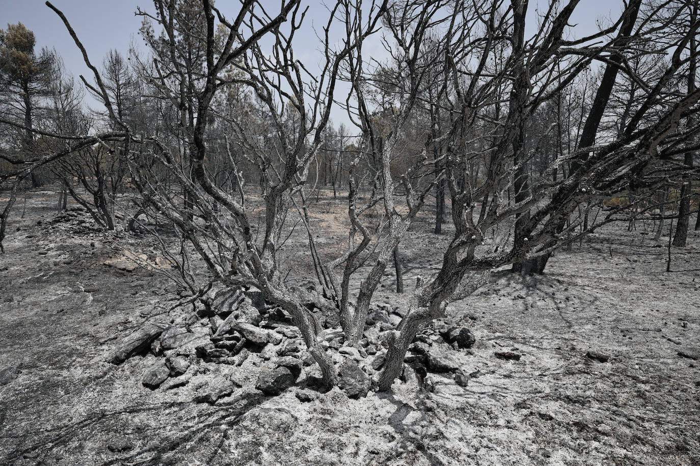 Fotos: Los efectos del incendio de Venta del Moro