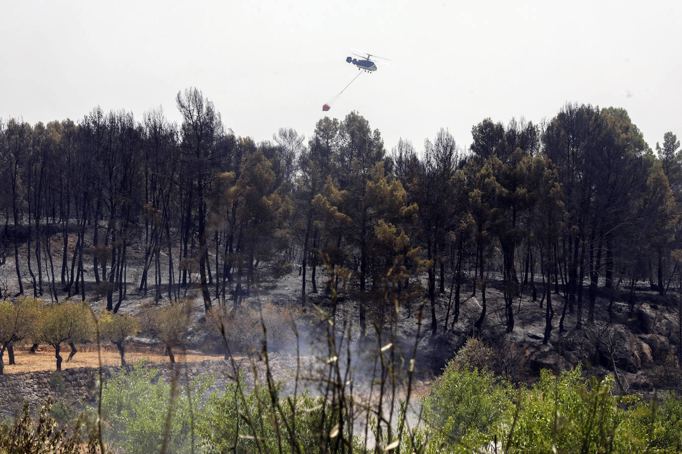 Fotos: Los efectos del incendio de Venta del Moro