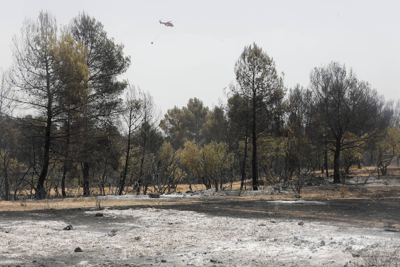 Fotos: Los efectos del incendio de Venta del Moro