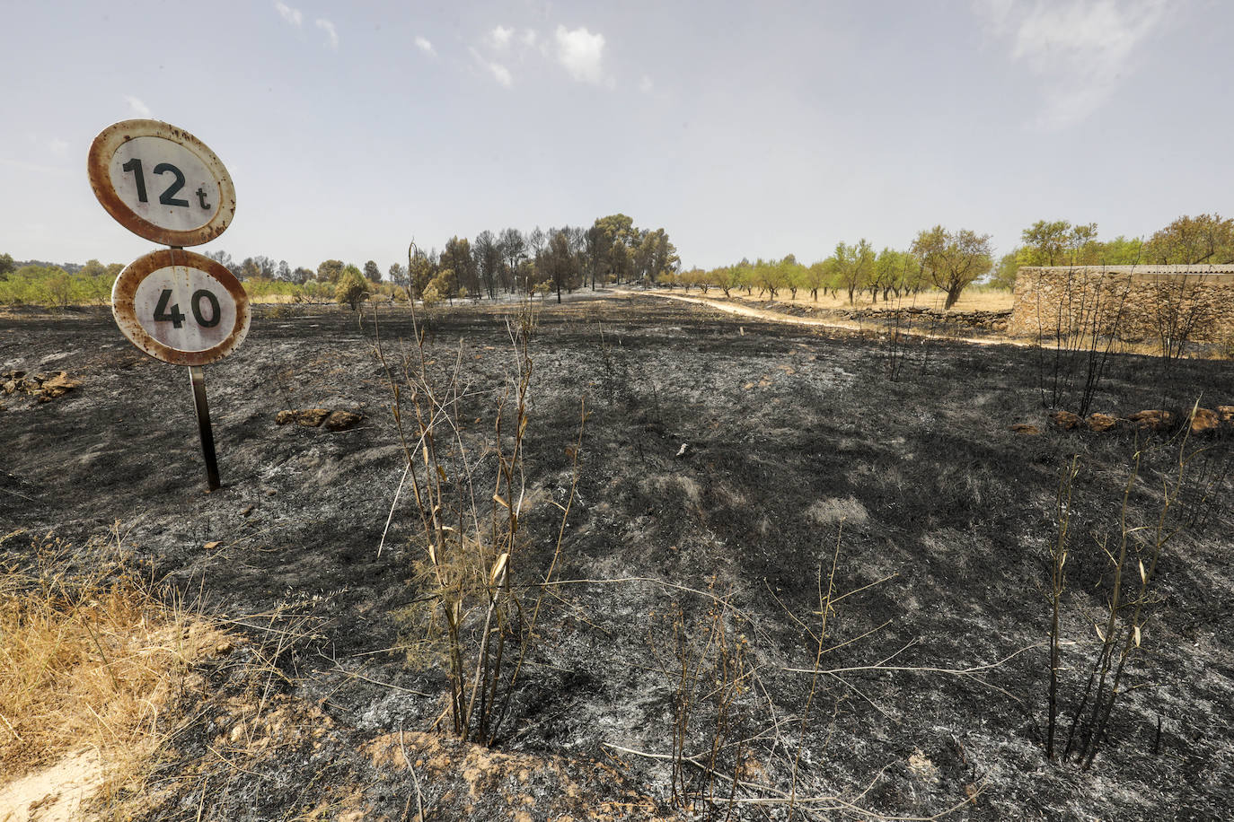 Fotos: Los efectos del incendio de Venta del Moro