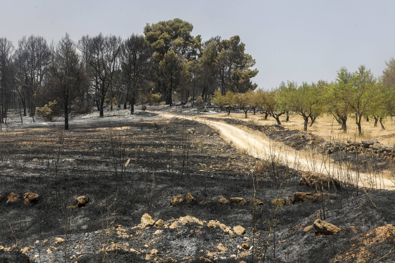 Fotos: Los efectos del incendio de Venta del Moro