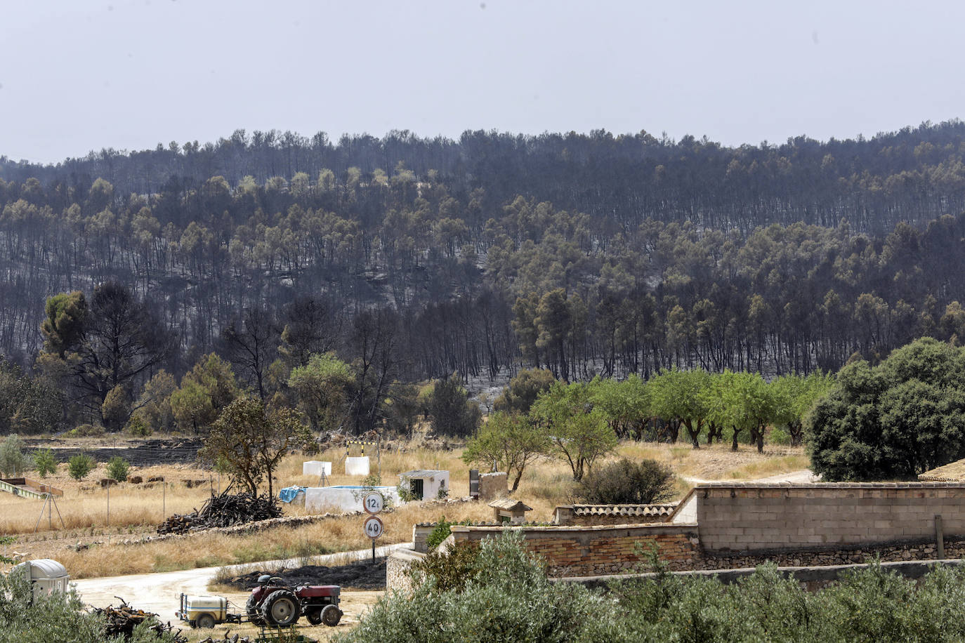 Fotos: Los efectos del incendio de Venta del Moro