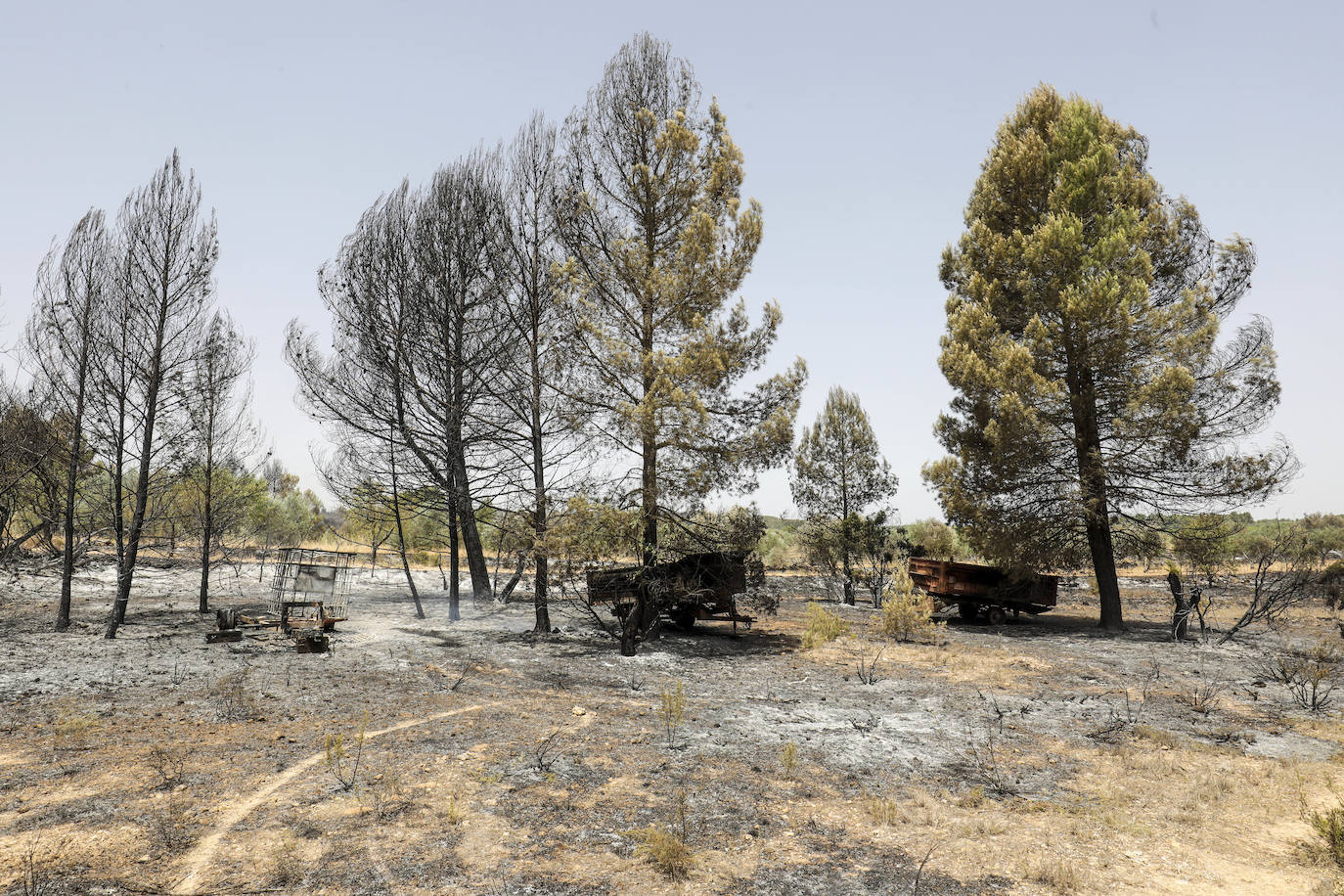 Fotos: Los efectos del incendio de Venta del Moro