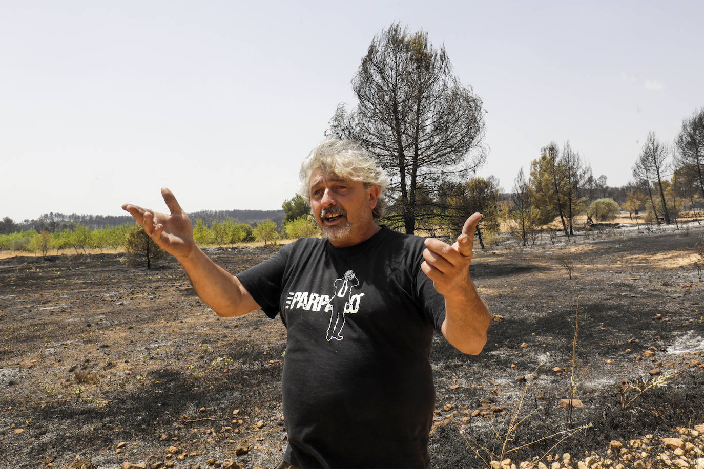 Fotos: Los efectos del incendio de Venta del Moro