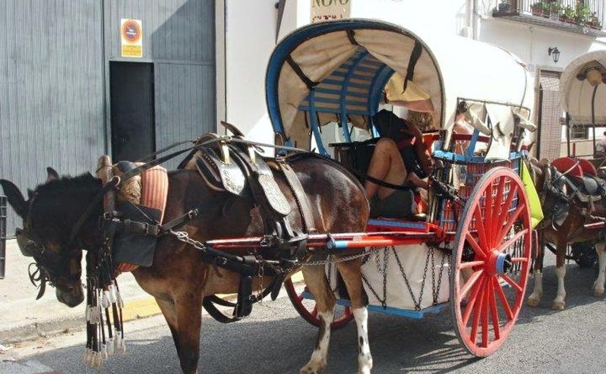 Uno de los carros participantes de ediciones anteriores. 