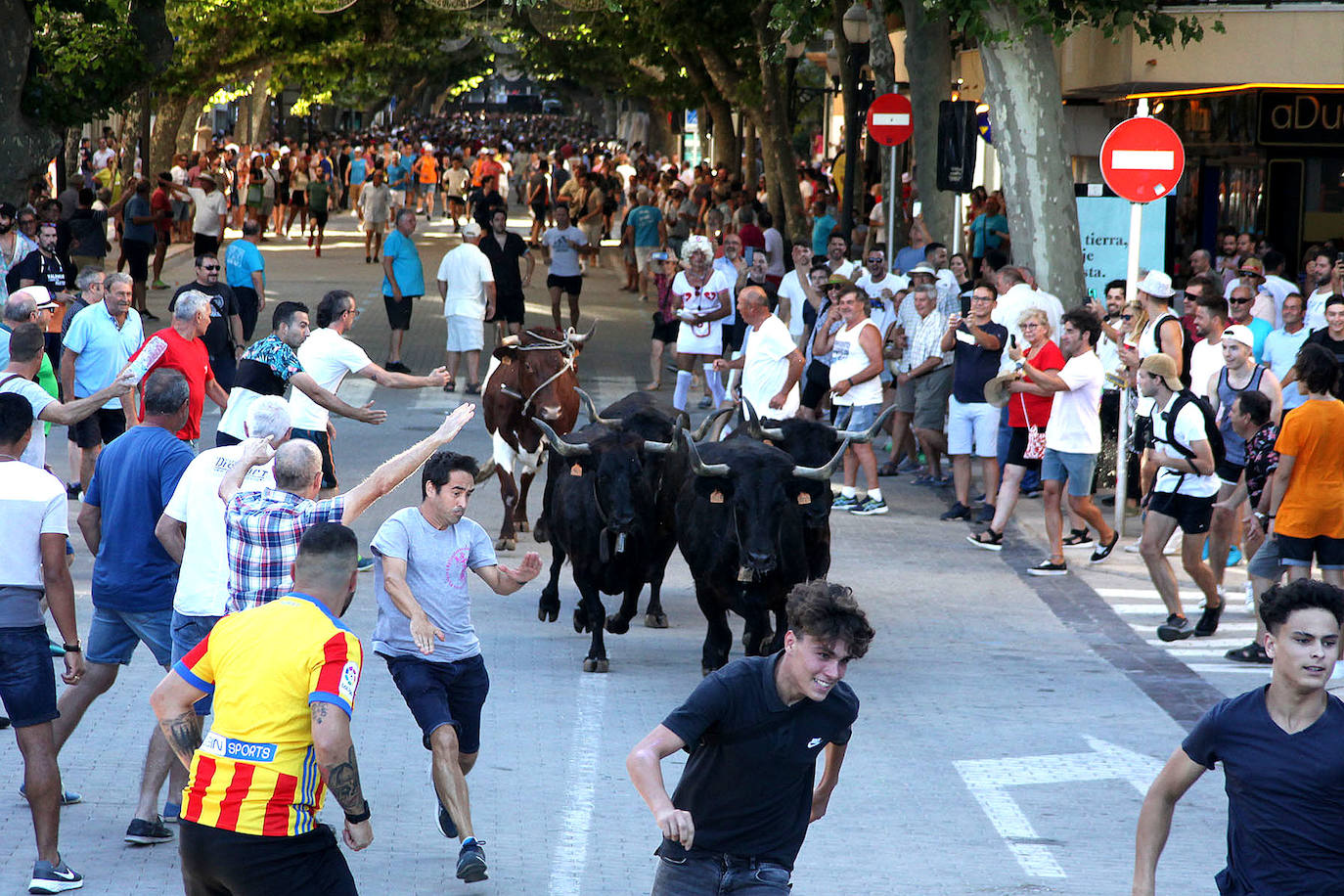 Fotos: Bous a la Mar en Dénia