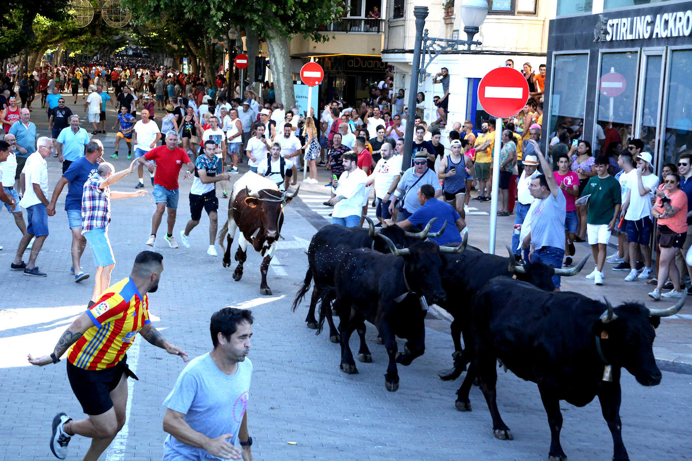 Fotos: Bous a la Mar en Dénia