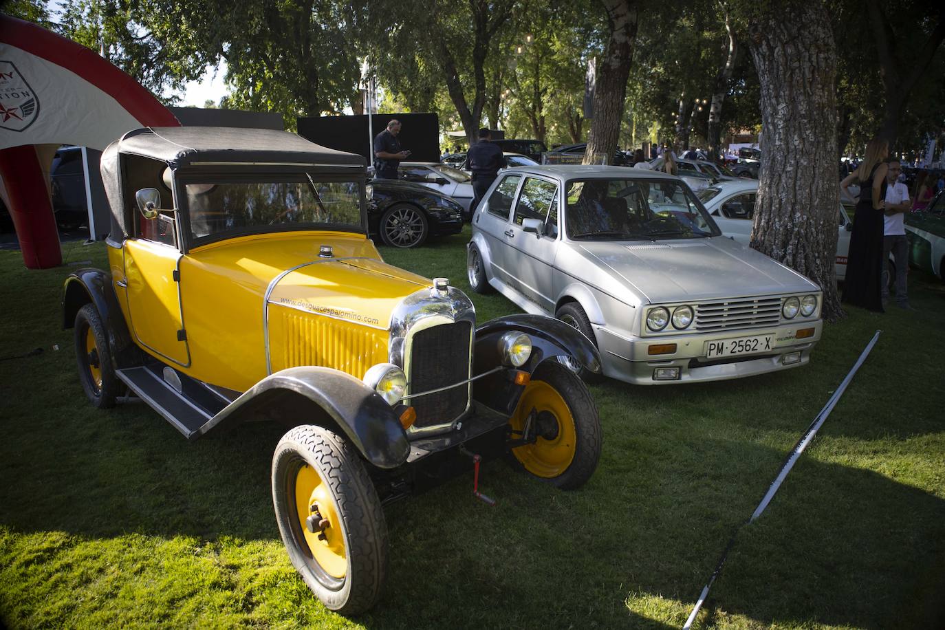 Fotos: El mejor jardín de automóviles de Europa