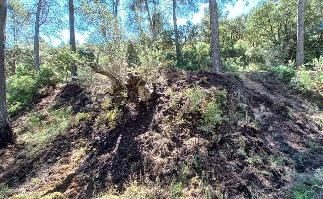 Zona afectada por el incendio que todo apunta a que provocó un rayo. 