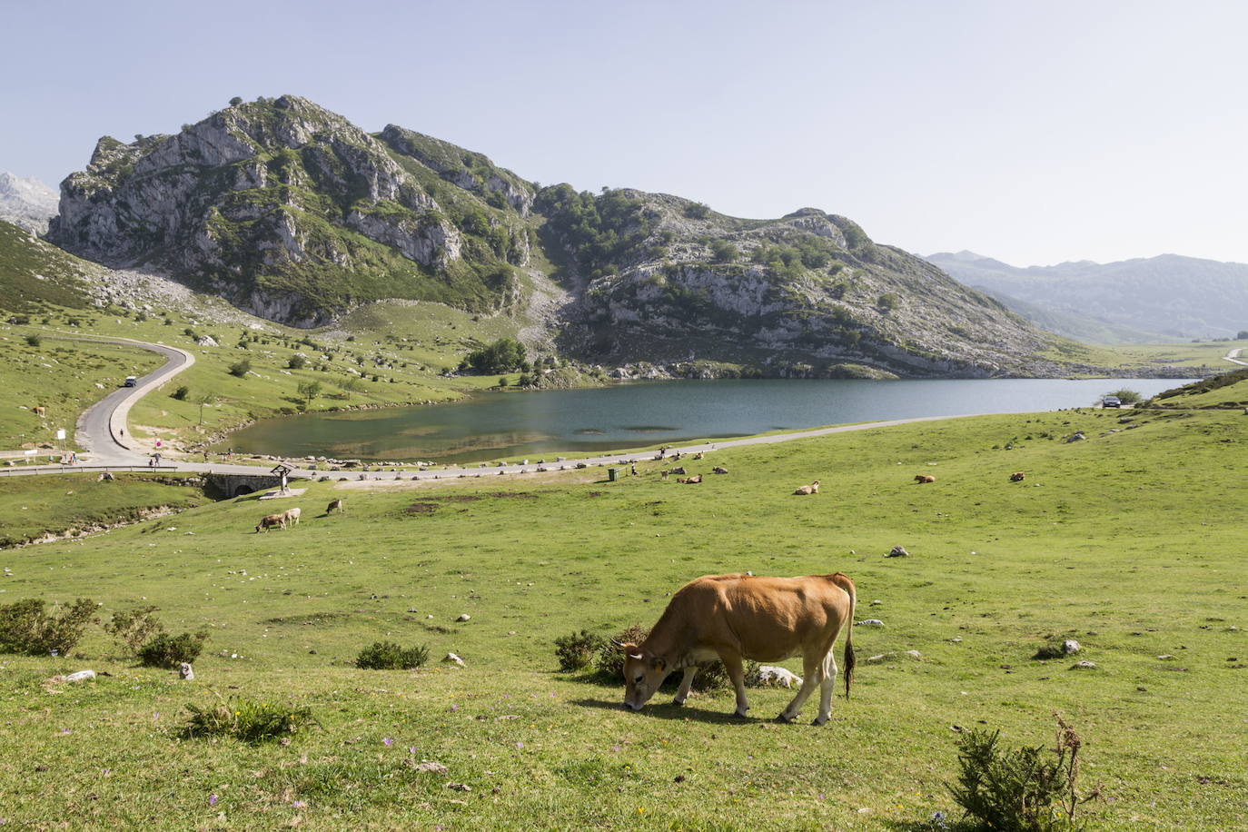 Lagos de Covadonga, Asturias. 