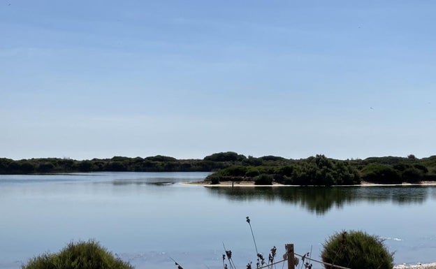 Entorno del Tancat de la Pipa, dentro de l'Albufera.