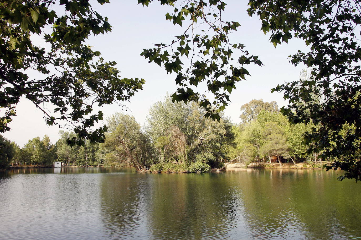 La Albufera de Anna.