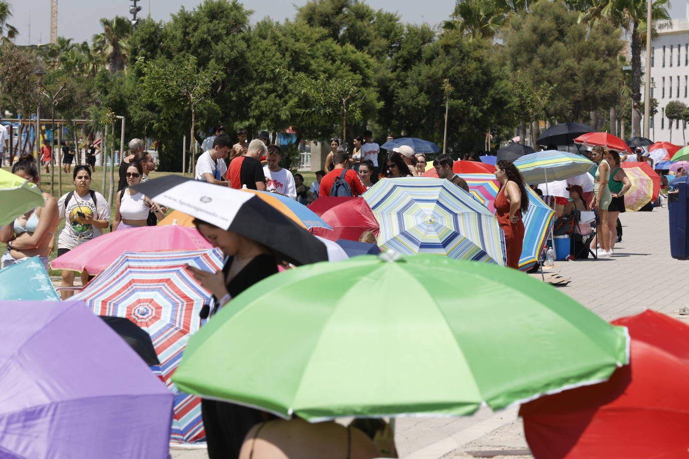 Fotos: Colas para ver a Rosalía en Valencia en plena ola de calor