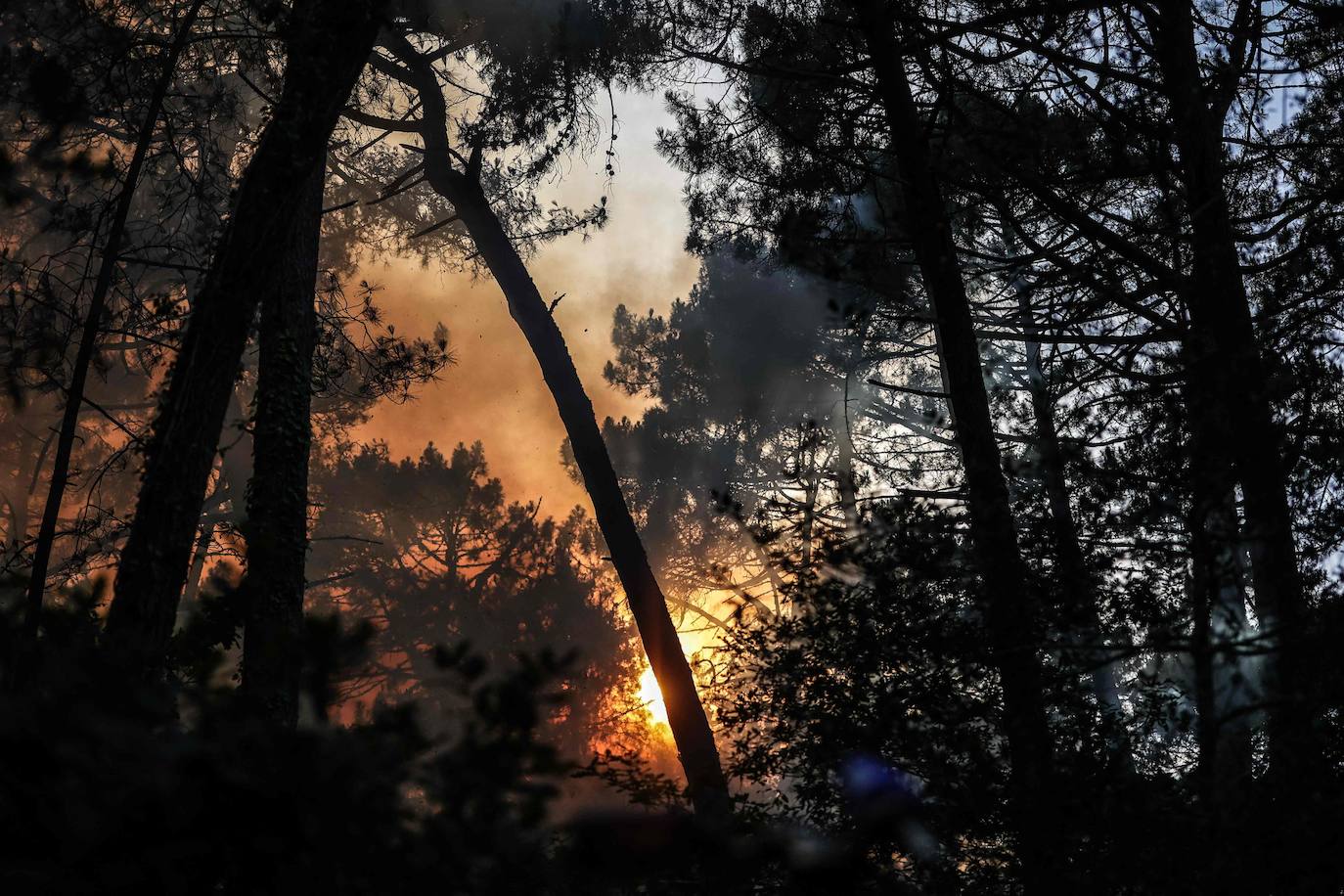 La duna de Pilat, cerca de Burdeos, es un reclamo turístico y está muy cerca de Arcachon y y de Cap de Ferrer