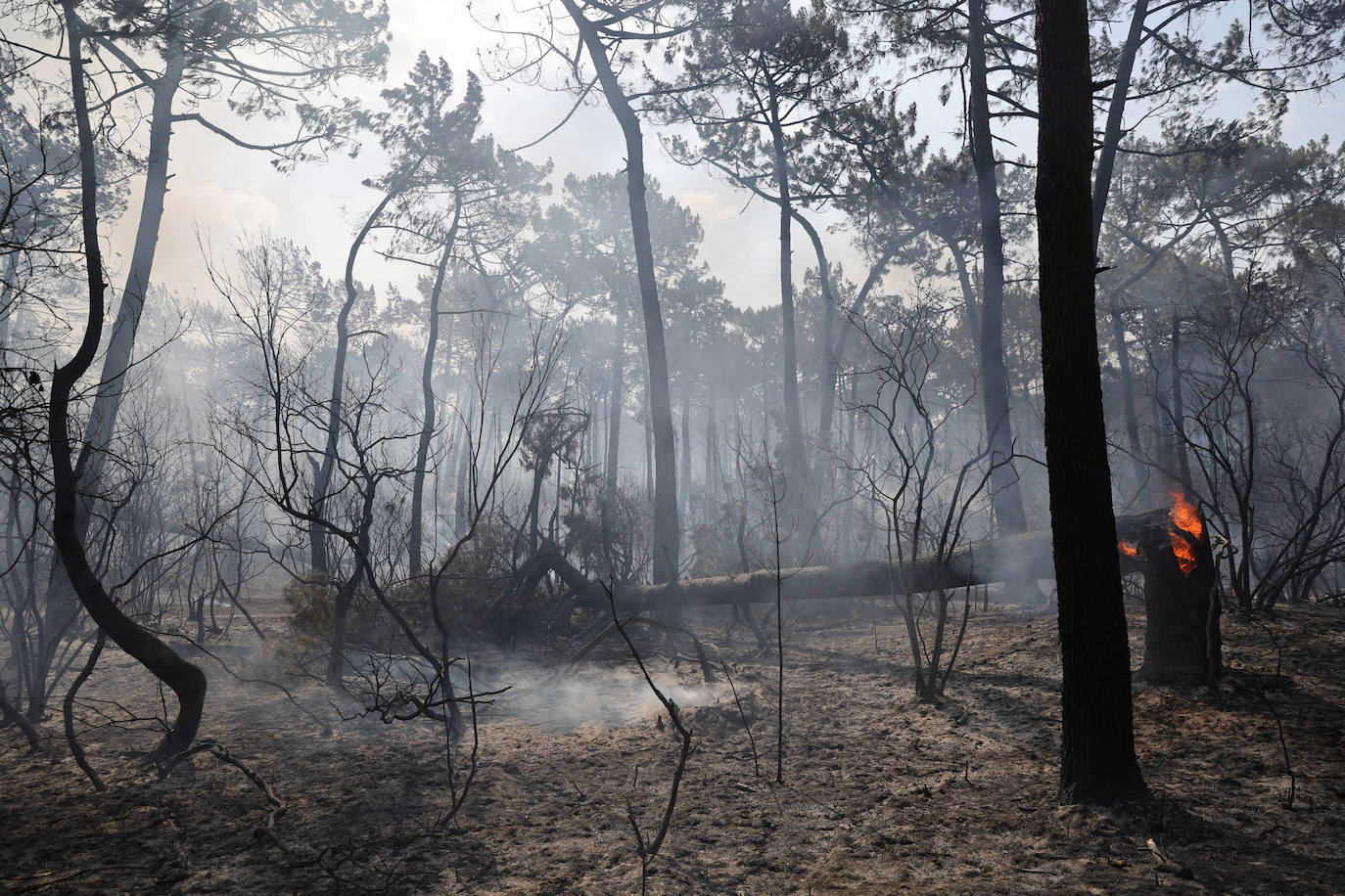 La duna de Pilat, cerca de Burdeos, es un reclamo turístico y está muy cerca de Arcachon y y de Cap de Ferrer