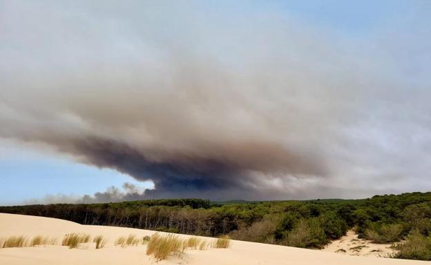 Imagen principal - Incendio en Burdeos (Francia) | Fuego y desolación en la mayor duna de Europa