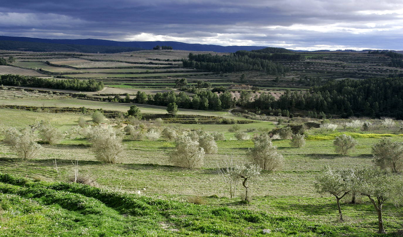 Fotos: La Toscana valenciana