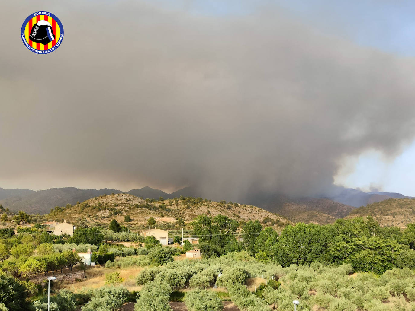 Fotos: Incendio forestal en Calles