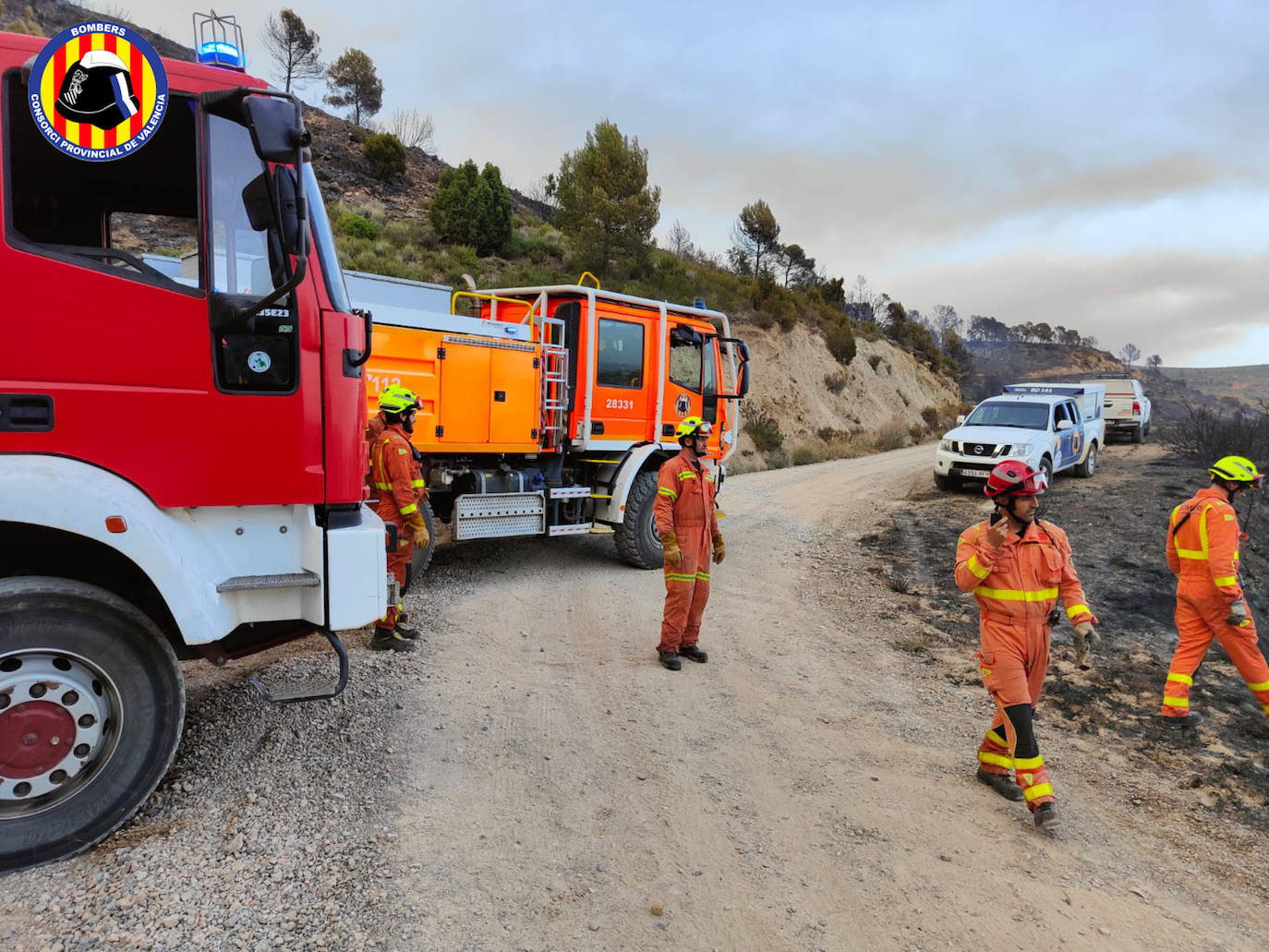 Fotos: Incendio forestal en Calles