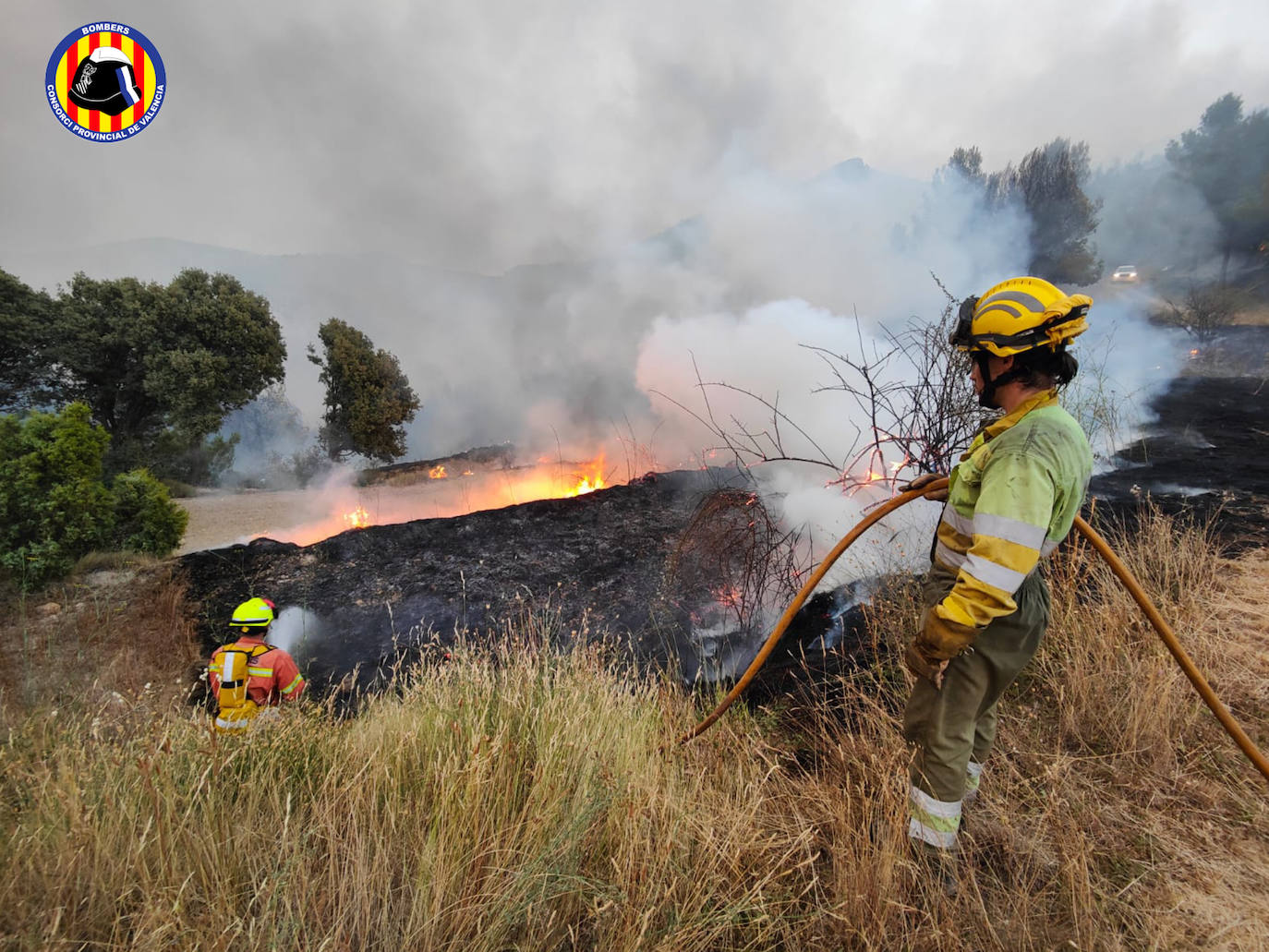 Fotos: Incendio forestal en Calles