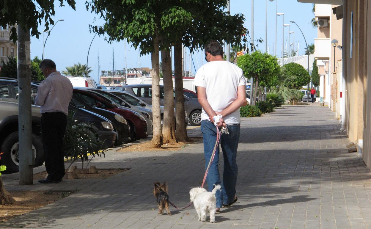 Un hombre pasea a sus perros por la calle. 