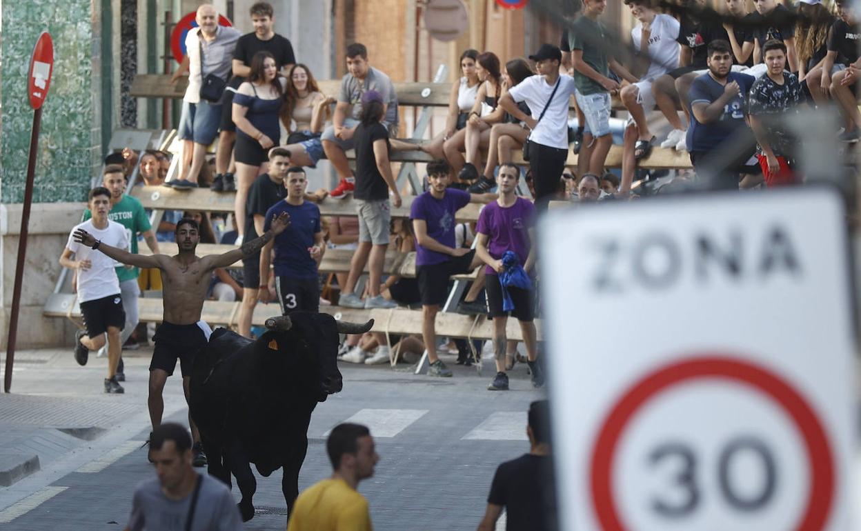 Varios jóvenes durante los festejos de bous al carrer de Alboraia, en una imagen de archivo. 