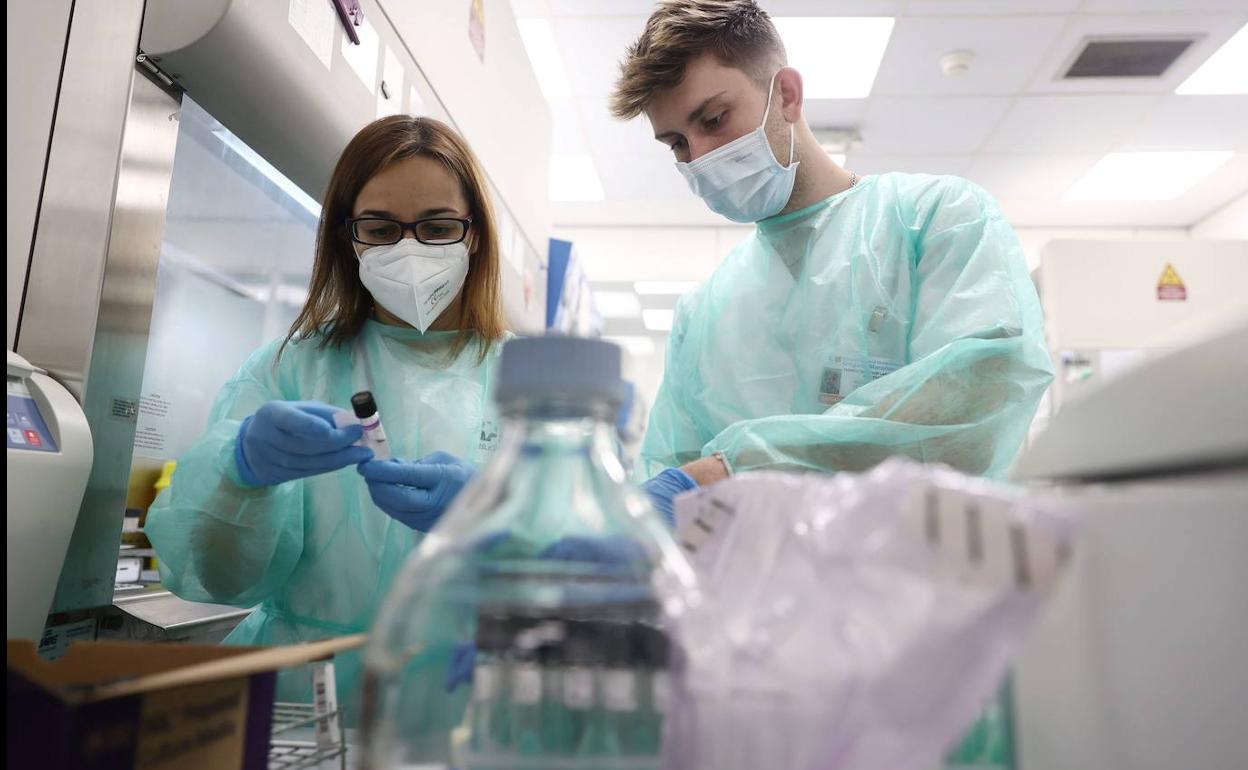 Varios técnicos de laboratorio del Hospital Gregorio Marañón realizan PCR para la viruela del mono. 