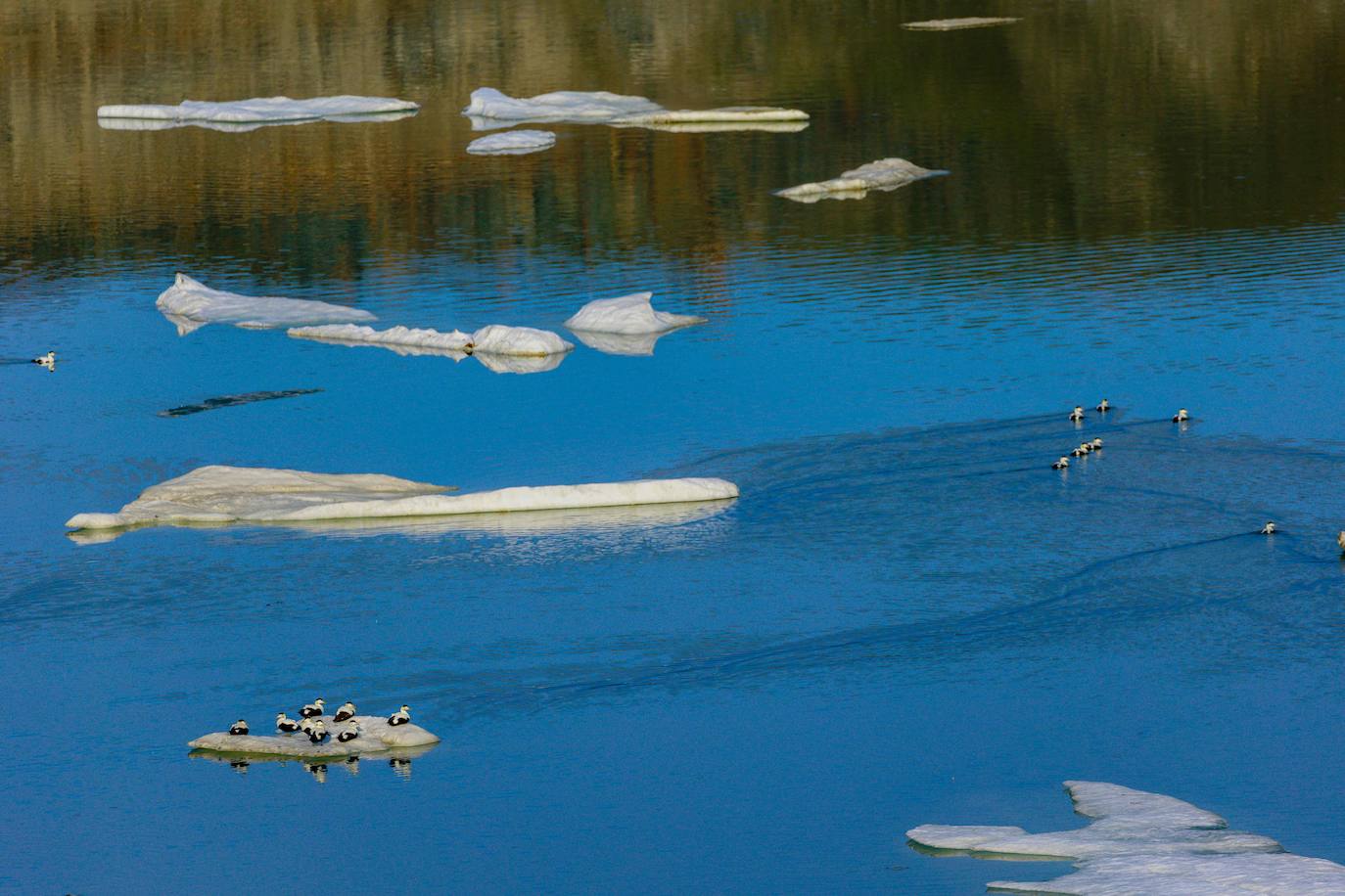 Fotos: La NASA alerta del deshielo imparable de Groenlandia