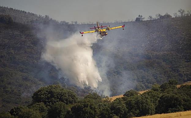 El fuego sigue avanzando en España y ya ha calcinado 221.939 hectáreas 
