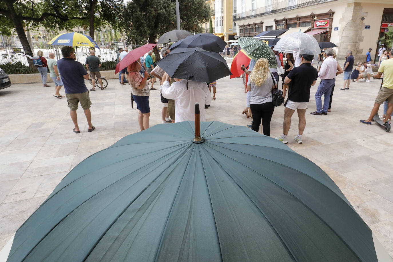 Fotos: Protestas por la reforma de la Plaza de la Reina en Valencia