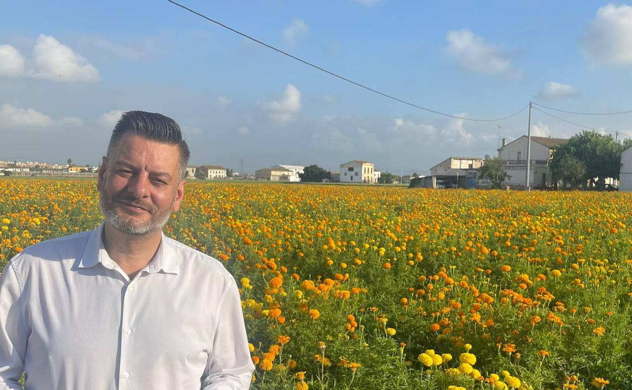 El concejal de Cultura Festiva, Carflos Galiana, en el campo donde se cultivan los clavellones. 