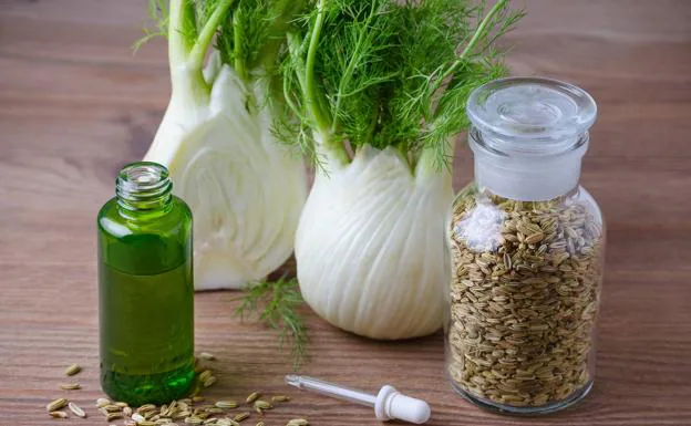Judía verde: beneficios, El superalimento sin nada de grasa que controla  la hipertensión, el colesterol y depura el organismo