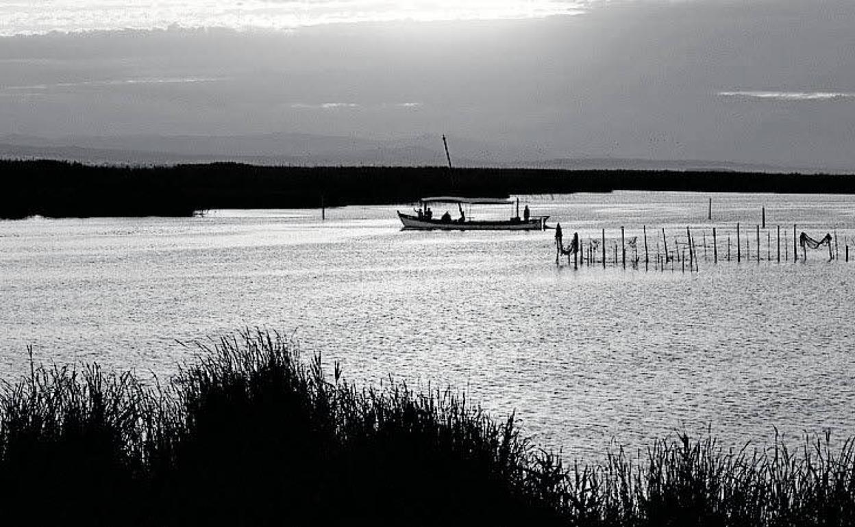 Parque natural de la Albufera.