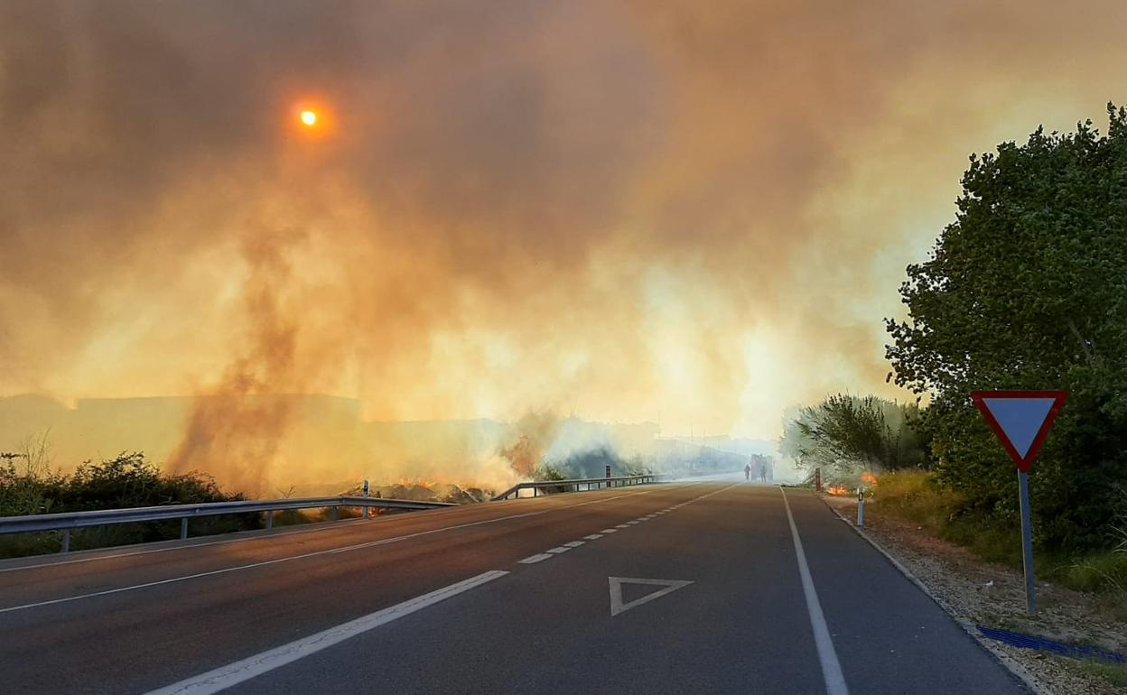 Oliva: Medios aéreos y terrestres trabajan sobre el terreno | Los bomberos luchan contra el fuego en un incendio declarado en Oliva