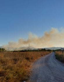 Imagen secundaria 2 - Oliva: Medios aéreos y terrestres trabajan sobre el terreno | Los bomberos luchan contra el fuego en un incendio declarado en Oliva
