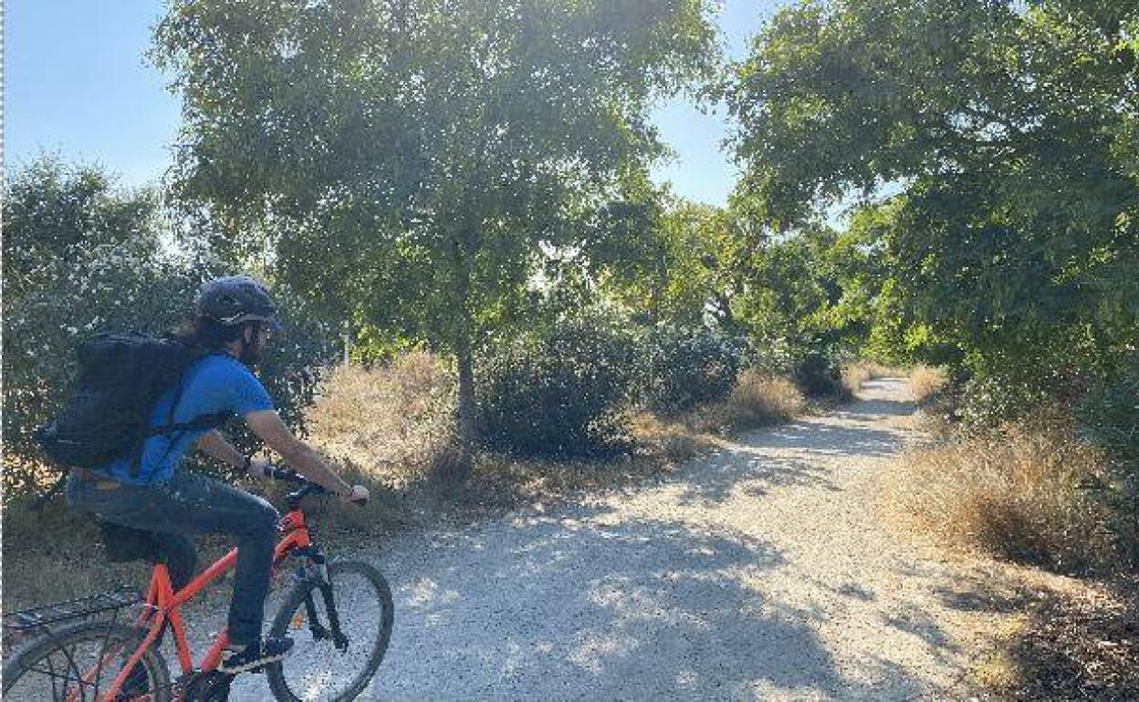 Un ciclista transita por el primer tramo de la ruta fluvial del Turia. 