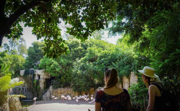 BIOPARC Valencia, un oasis verde y azul de 46.000 m