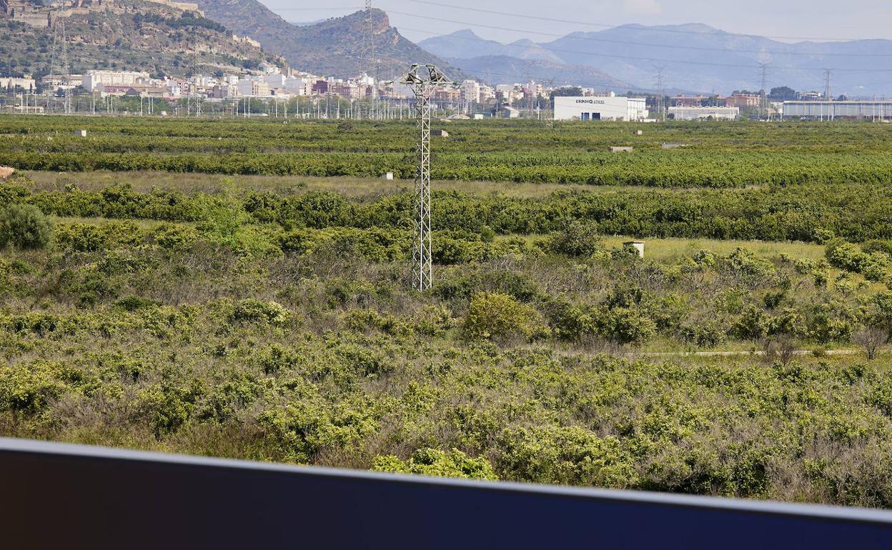 Terrenos en los que se levantará la gigafactoría. 