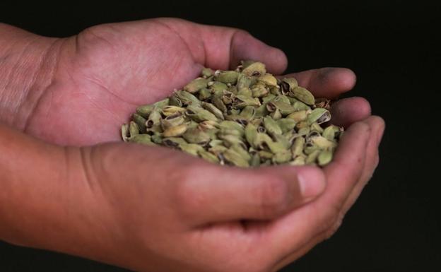 Cardamomo.