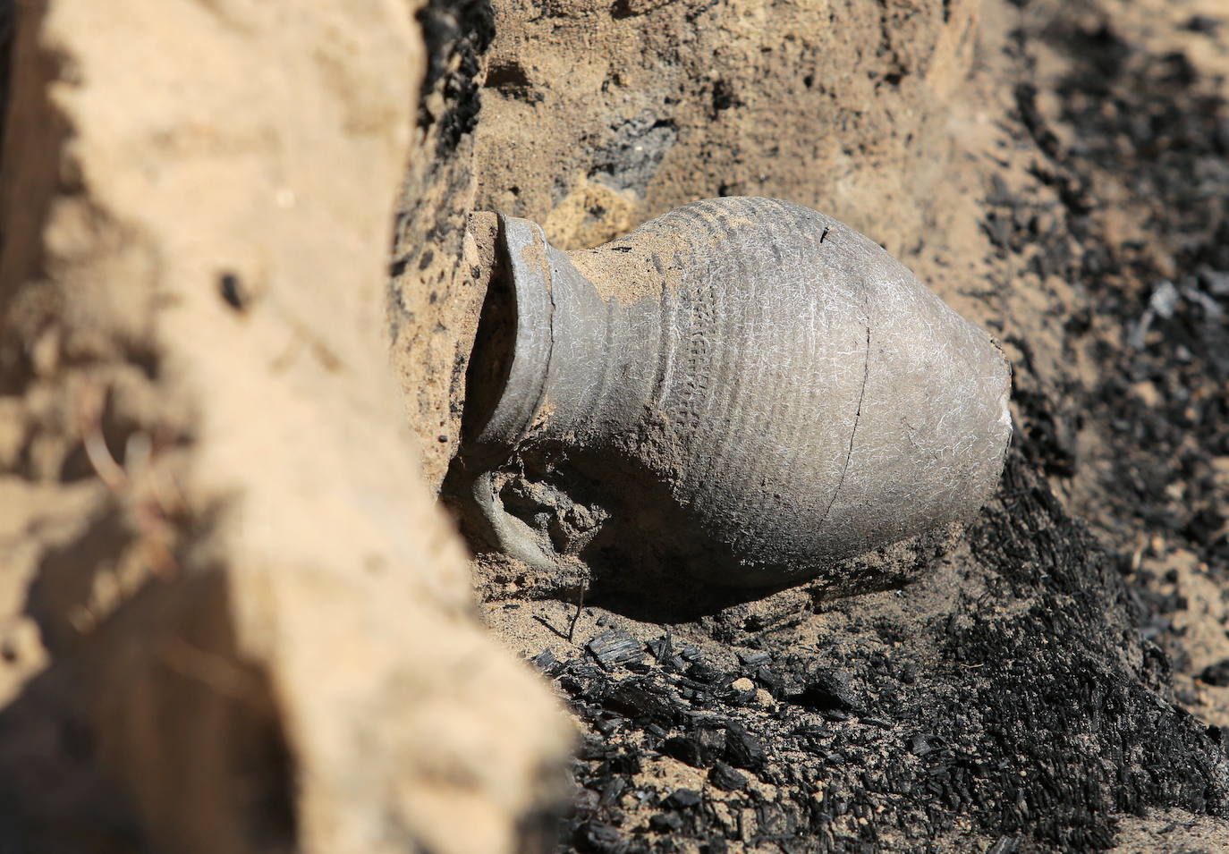 Fotos: Nuevos hallazgos sorprendentes en la &#039;Pompeya de Warmia&#039;