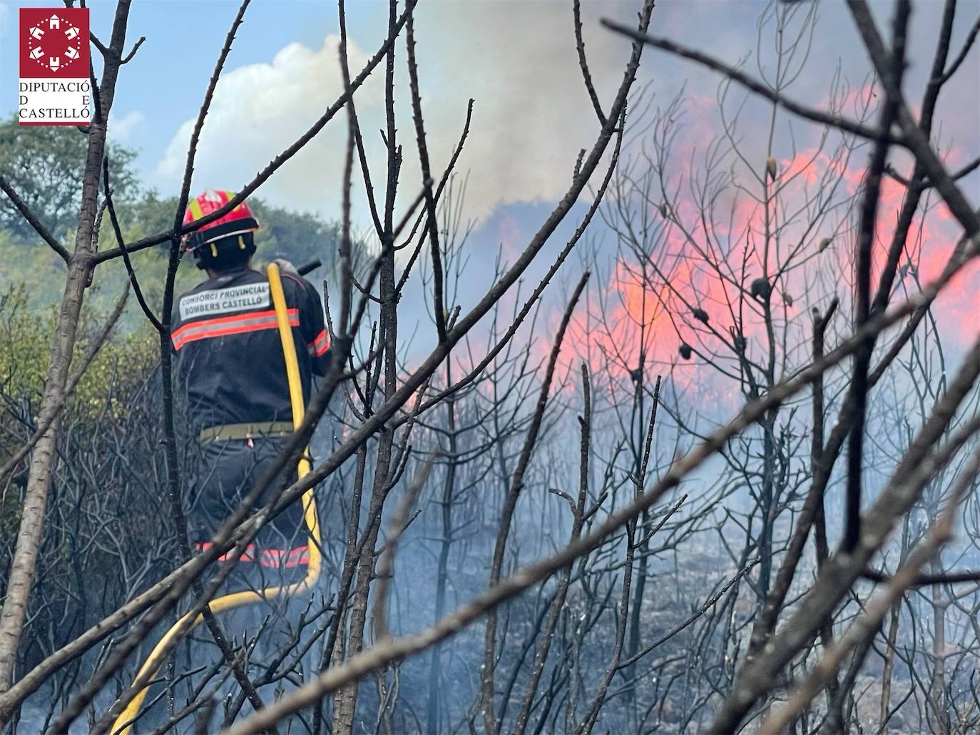 Fotos: Declarado un incendio forestal en Useres