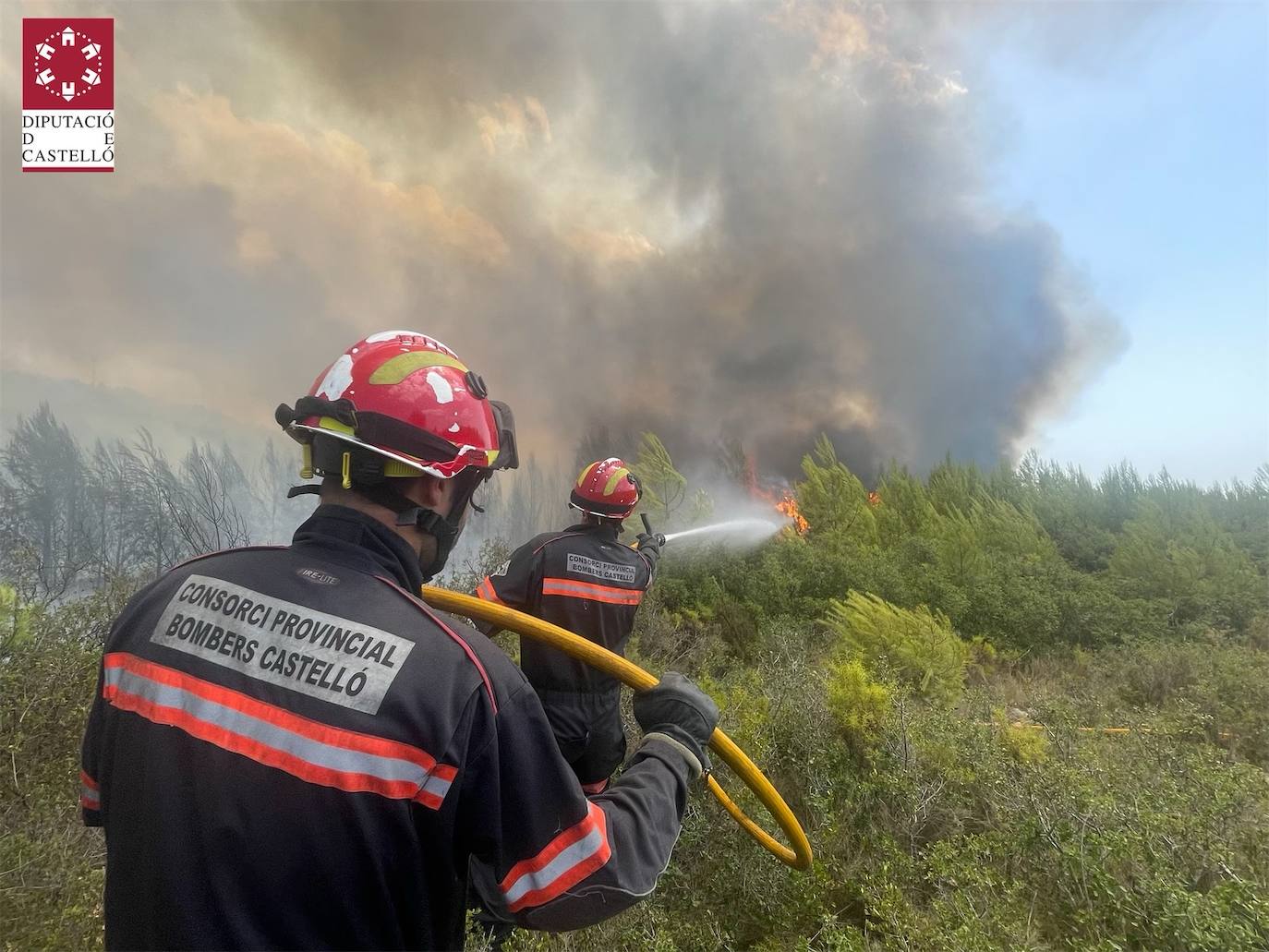 Fotos: Declarado un incendio forestal en Useres