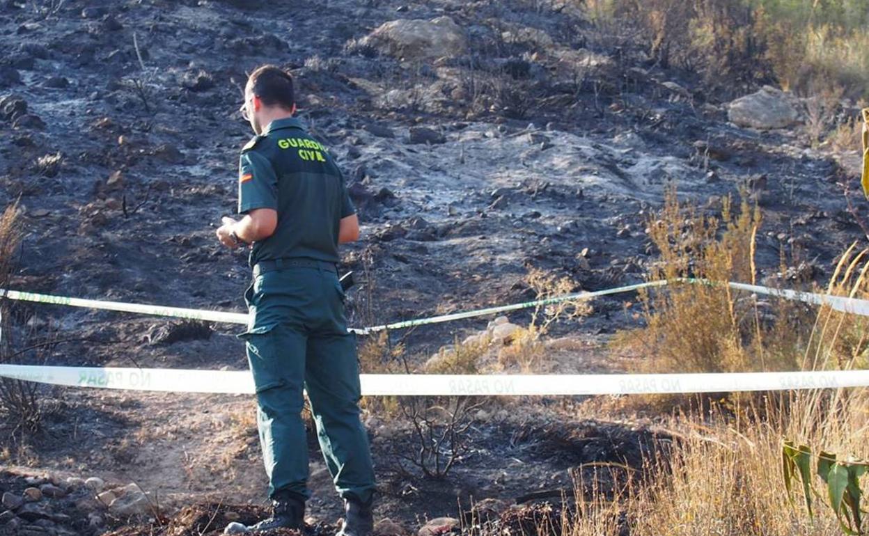 Agentes del Seprona inspeccionando el lugar donde se originó el incendio. 