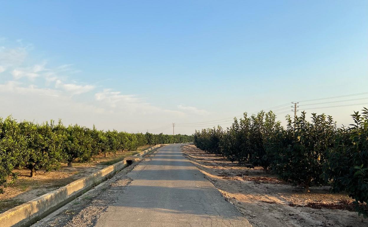 Camino rural del Maranyet en Alzira. 